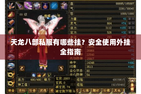 天龙八部私服有哪些挂？安全使用外挂全指南