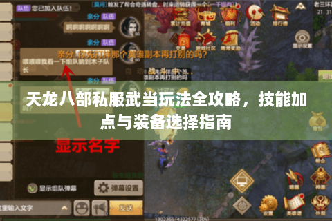 天龙八部私服武当玩法全攻略，技能加点与装备选择指南