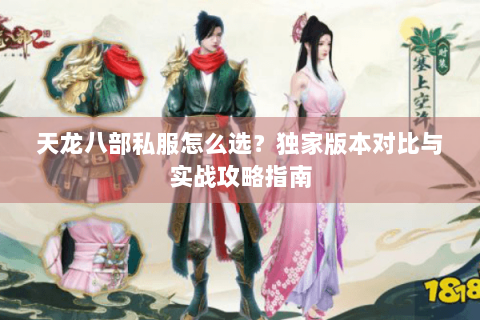 天龙八部私服怎么选？独家版本对比与实战攻略指南