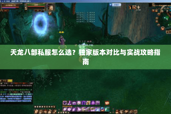 天龙八部私服怎么选？独家版本对比与实战攻略指南
