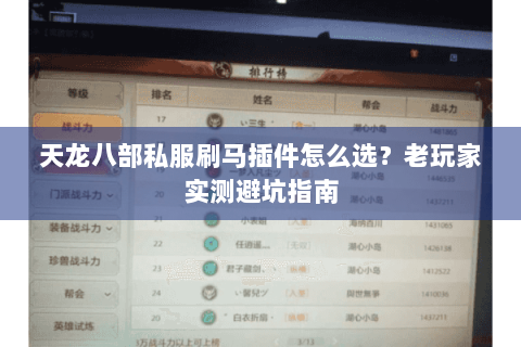 天龙八部私服刷马插件怎么选？老玩家实测避坑指南