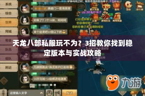 天龙八部私服玩不为？3招教你找到稳定版本与实战攻略