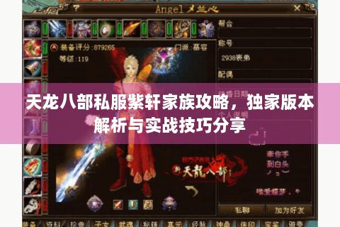 天龙八部私服紫轩家族攻略，独家版本解析与实战技巧分享