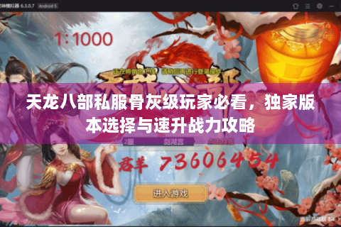 天龙八部私服骨灰级玩家必看，独家版本选择与速升战力攻略