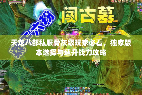 天龙八部私服骨灰级玩家必看，独家版本选择与速升战力攻略