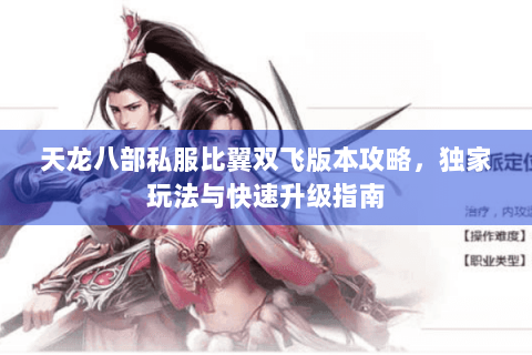 天龙八部私服比翼双飞版本攻略，独家玩法与快速升级指南