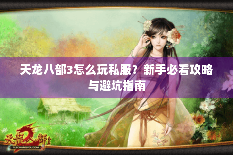 天龙八部3怎么玩私服？新手必看攻略与避坑指南