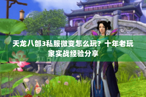 天龙八部3私服微变怎么玩？十年老玩家实战经验分享