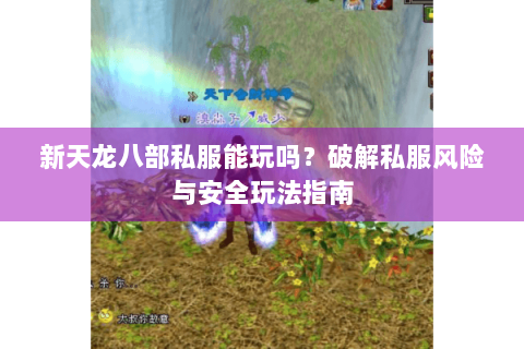 新天龙八部私服能玩吗？破解私服风险与安全玩法指南