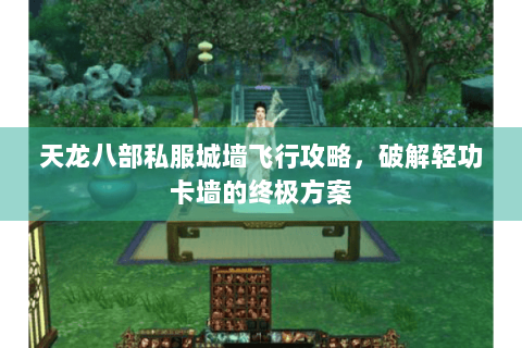 天龙八部私服城墙飞行攻略，破解轻功卡墙的终极方案