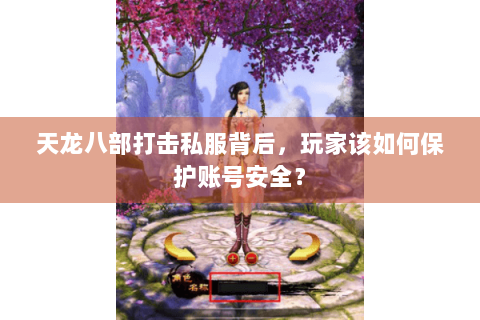 天龙八部打击私服背后，玩家该如何保护账号安全？
