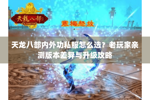 天龙八部内外功私服怎么选？老玩家亲测版本差异与升级攻略