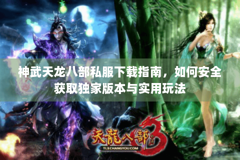 神武天龙八部私服下载指南，如何安全获取独家版本与实用玩法