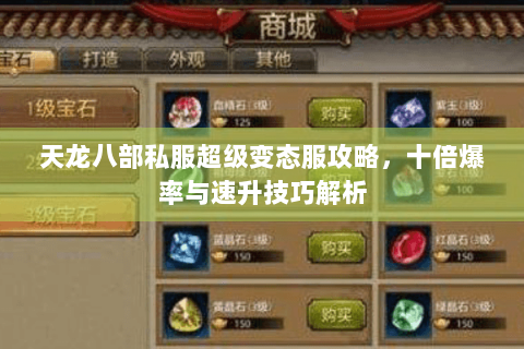 天龙八部私服超级变态服攻略，十倍爆率与速升技巧解析