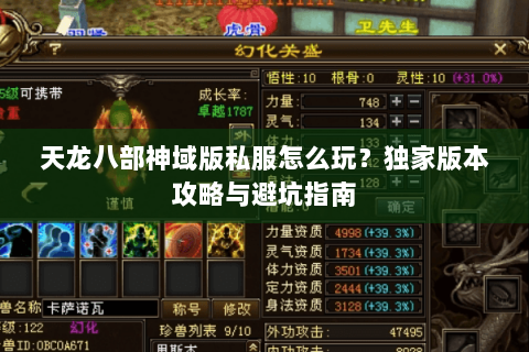 天龙八部神域版私服怎么玩？独家版本攻略与避坑指南