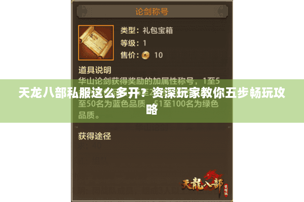 天龙八部私服这么多开？资深玩家教你五步畅玩攻略