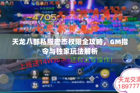 天龙八部私服宏杰权限全攻略，GM指令与独家玩法解析