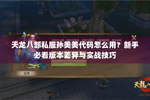 天龙八部私服孙美美代码怎么用？新手必看版本差异与实战技巧