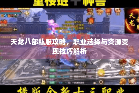 天龙八部私服攻略，职业选择与资源变现技巧解析