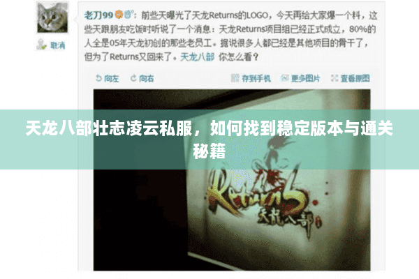 天龙八部壮志凌云私服，如何找到稳定版本与通关秘籍
