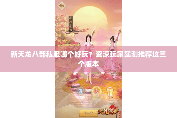 新天龙八部私服哪个好玩？资深玩家实测推荐这三个版本