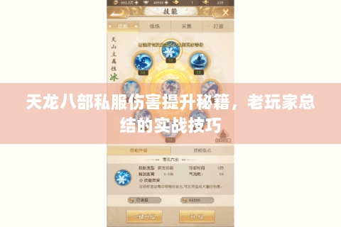 天龙八部私服伤害提升秘籍，老玩家总结的实战技巧