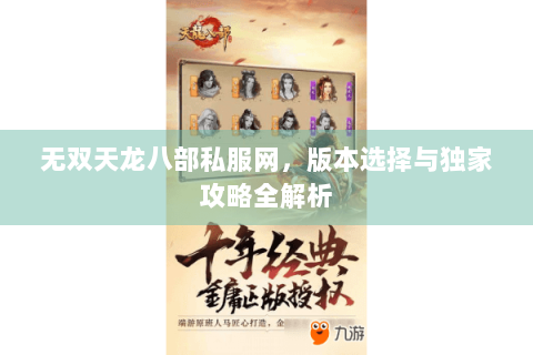 无双天龙八部私服网，版本选择与独家攻略全解析