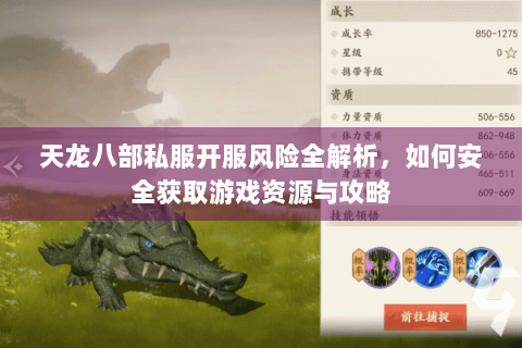 天龙八部私服开服风险全解析，如何安全获取游戏资源与攻略