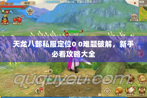 天龙八部私服定位0 0难题破解，新手必看攻略大全