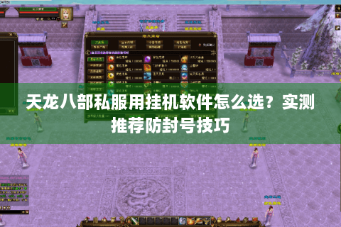 天龙八部私服用挂机软件怎么选？实测推荐防封号技巧
