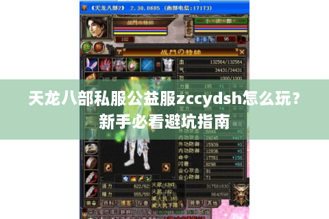 天龙八部私服公益服zccydsh怎么玩？新手必看避坑指南