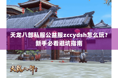 天龙八部私服公益服zccydsh怎么玩？新手必看避坑指南