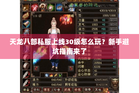 天龙八部私服上线30级怎么玩?新手避坑指南来了 天龙八部私服上线30级怎么玩?新手避坑指南来了