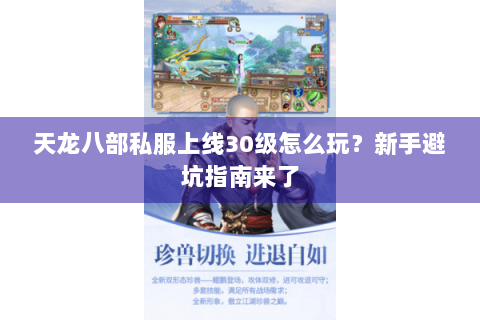 天龙八部私服上线30级怎么玩?新手避坑指南来了 天龙八部私服上线30级怎么玩?新手避坑指南来了