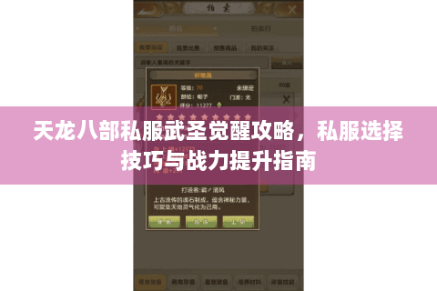 天龙八部私服武圣觉醒攻略，私服选择技巧与战力提升指南