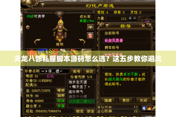 天龙八部私服脚本源码怎么选？这五步教你避坑