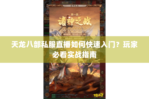 天龙八部私服直播如何快速入门？玩家必看实战指南