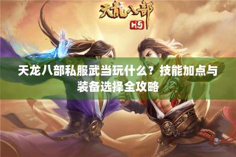 天龙八部私服武当玩什么？技能加点与装备选择全攻略