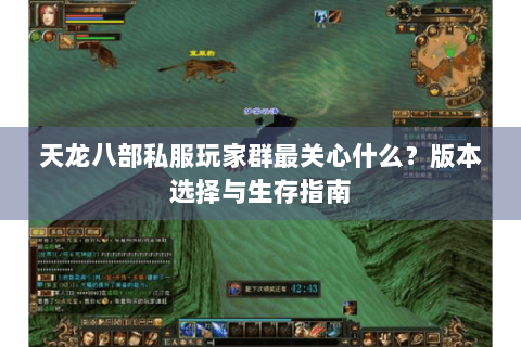 天龙八部私服玩家群最关心什么？版本选择与生存指南