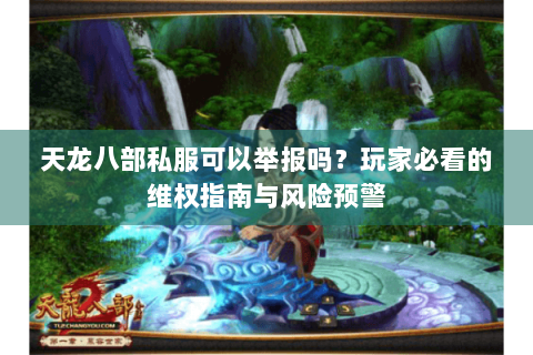天龙八部私服可以举报吗？玩家必看的维权指南与风险预警
