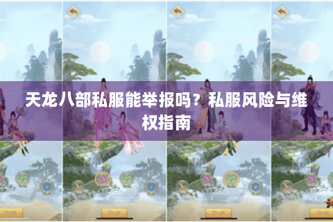 天龙八部私服能举报吗？私服风险与维权指南
