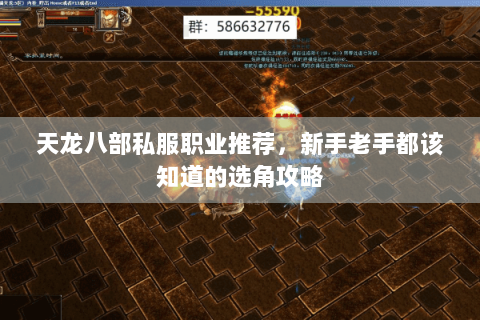 天龙八部私服职业推荐，新手老手都该知道的选角攻略
