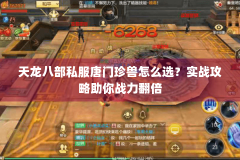 天龙八部私服唐门珍兽怎么选？实战攻略助你战力翻倍