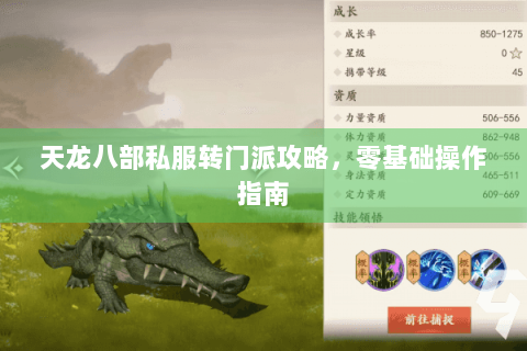 天龙八部私服转门派攻略，零基础操作指南