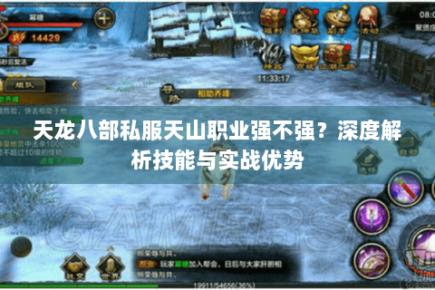 天龙八部私服天山职业强不强？深度解析技能与实战优势