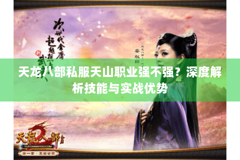 天龙八部私服天山职业强不强？深度解析技能与实战优势