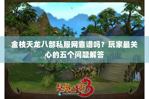 金枝天龙八部私服网靠谱吗？玩家最关心的五个问题解答