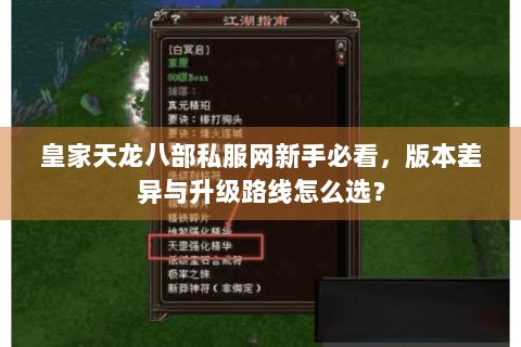 皇家天龙八部私服网新手必看，版本差异与升级路线怎么选？