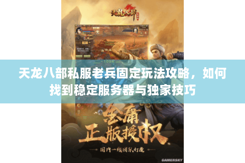 天龙八部私服老兵固定玩法攻略，如何找到稳定服务器与独家技巧
