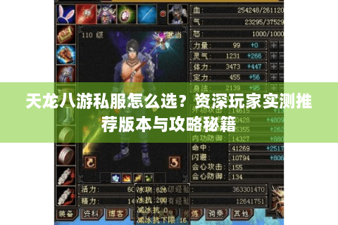 天龙八游私服怎么选？资深玩家实测推荐版本与攻略秘籍